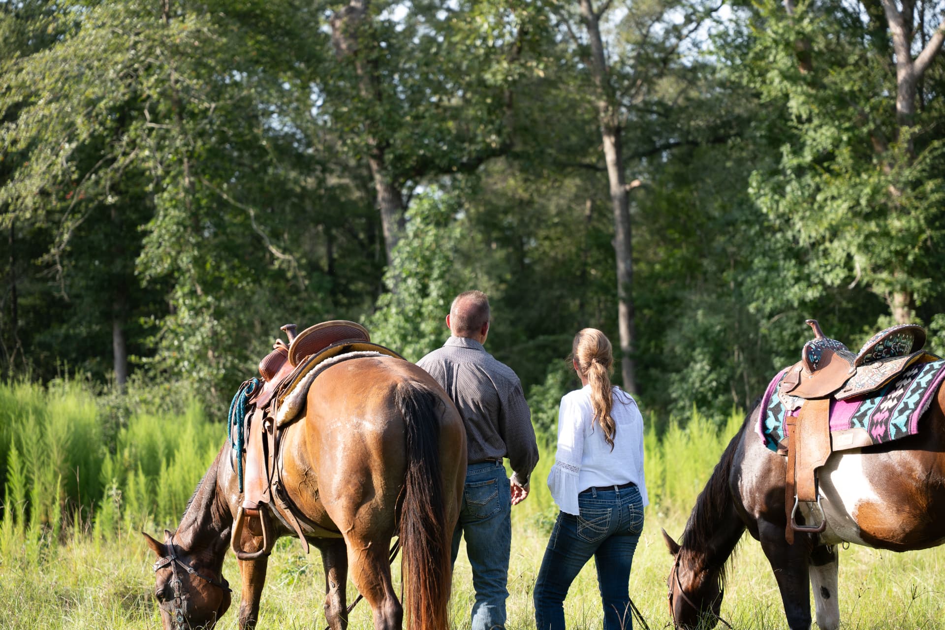 Lifestyle shoot photo of saddled horses grazing in a meadow, directed and produced by Toni Bubb for Patten Properties