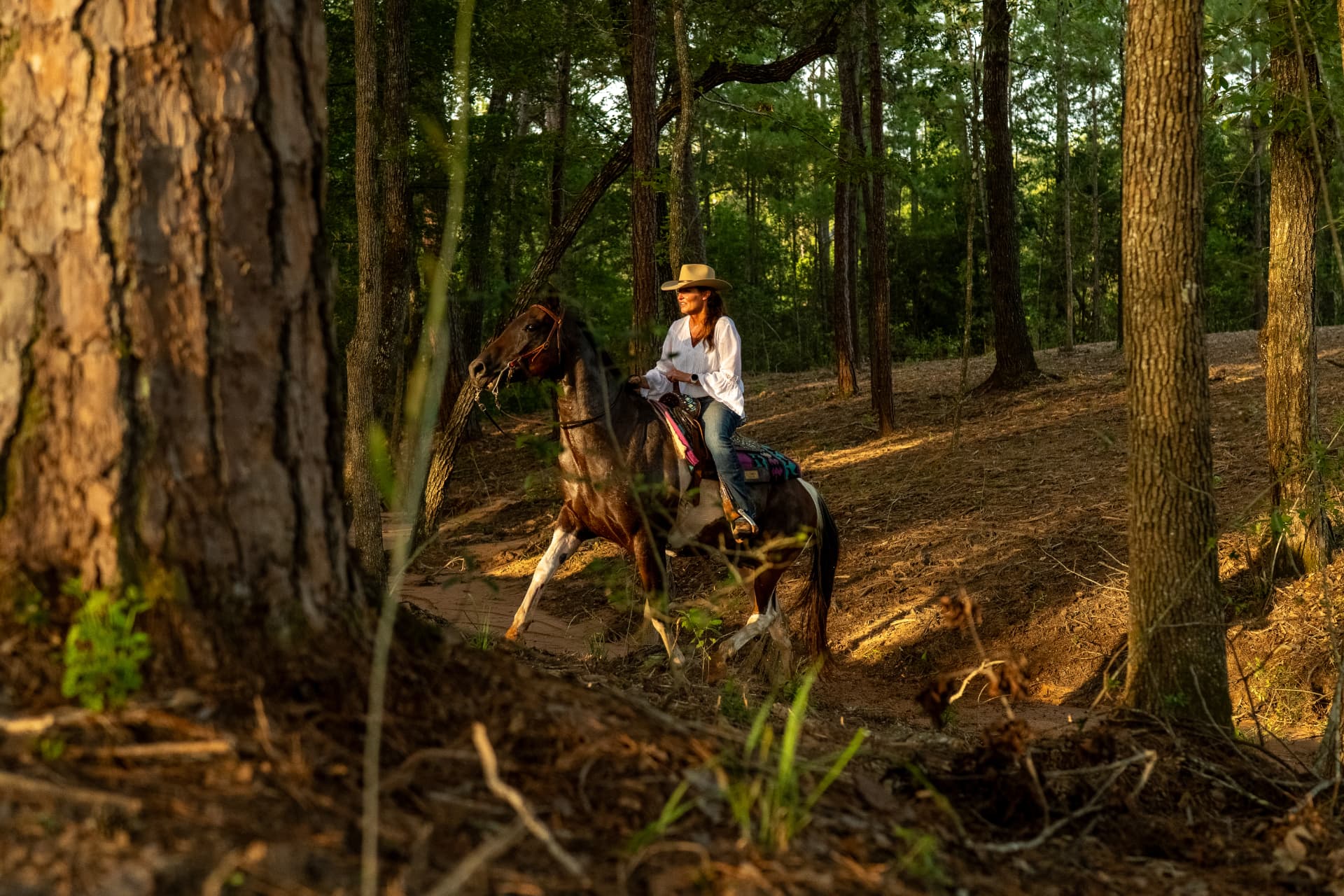 Lifestyle shoot photo of a woman riding a horse through sunlit pine woods, directed and produced by Toni Bubb for Patten Properties